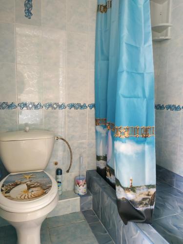 ヴィチャゼヴォにあるGostevoy Dom Akvarelのバスルーム(トイレ、シャワーカーテン付)