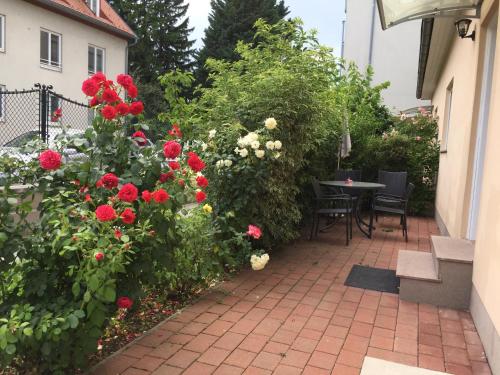 Κήπος έξω από το Terrasse Wohnungen mit parking in Zentrum