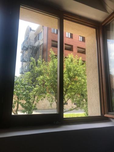 una ventana con vista a un árbol en Guest house Kolasin, en Kolašin