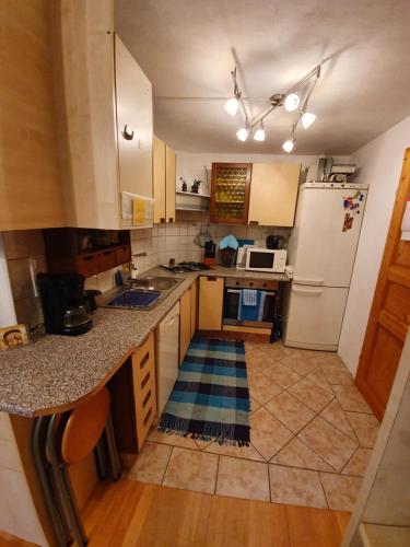 una cocina con fregadero y refrigerador en North to South apartments, en Izola
