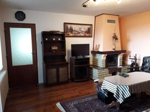 a living room with a fireplace and a television at Ladislav in Spišské Vlachy