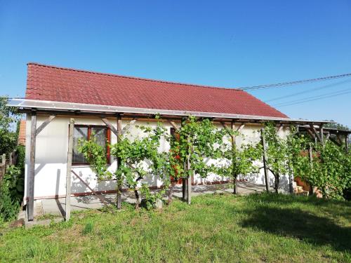 Zahrada ubytování Apartmán s vinným sklepem Four Grapes