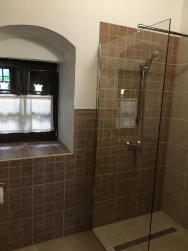 a shower with a glass door in a bathroom at Miklós Lak in Ocna de Sus