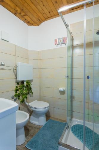 a bathroom with a toilet and a shower at Casa Romantica in Umag