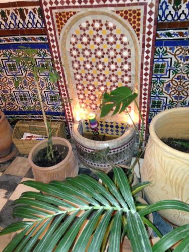 a room with potted plants and a tiled wall at Dar Nakhla Naciria in Tangier