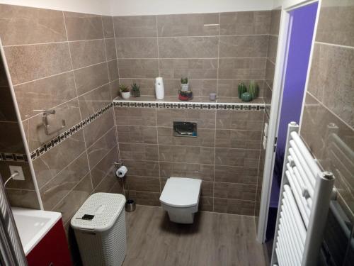 La salle de bains est pourvue de toilettes et d'un lavabo. dans l'établissement Bel appartement T2 près du lac avc un parking privé, à Bordeaux
