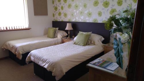 a hotel room with two beds and a window at Hillhaven Bed &Breakfast in Fortrose