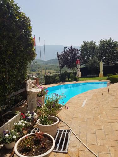 Gallery image of Vila Elida in Tragjas