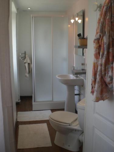 une salle de bain avec toilettes, lavabo et douche dans l'établissement Le Dolmen, à Primelin