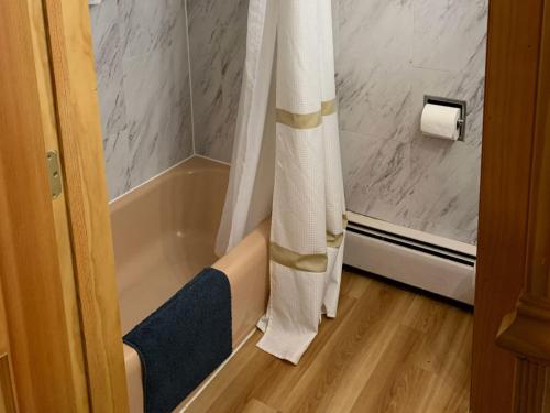 a bathroom with a bath tub and a shower curtain at Wisconsin Aire Motel in Random Lake