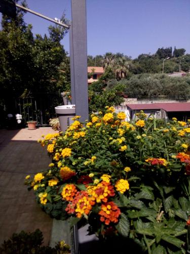 Casa Vacanze Terme – Photos 5