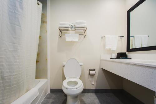 een witte badkamer met een toilet en een wastafel bij Scottish Inn & Suites - Atascocita in Humble