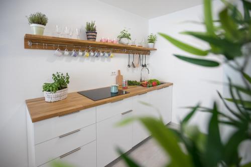 Kuhinja oz. manjša kuhinja v nastanitvi Family Apartment with Garden