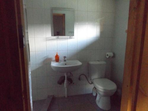 Vonios kambarys apgyvendinimo įstaigoje Elenutes namai