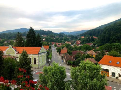 a view of a town with mountains in the background at Vila Ursul Negru in Sovata