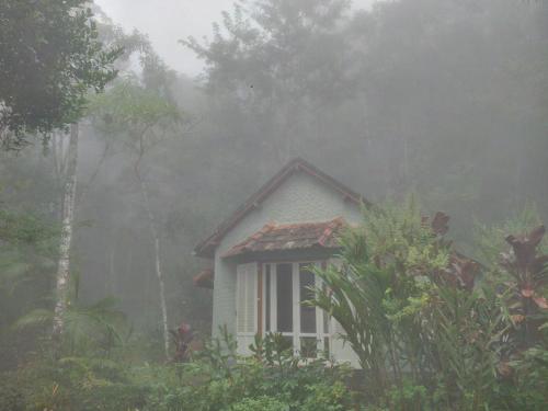 uma pequena casa no meio de uma floresta em Chalé Gaia - Itatiaia em Itatiaia