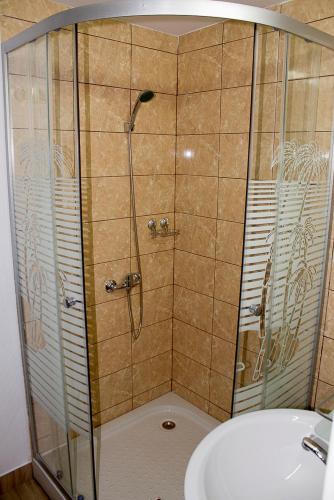 a bathroom with a shower and a sink at Casa La Flori in Techirghiol