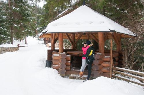 a couple hugging in front of a gazebo in the snow at Hotel Dykyi Med in Tatariv