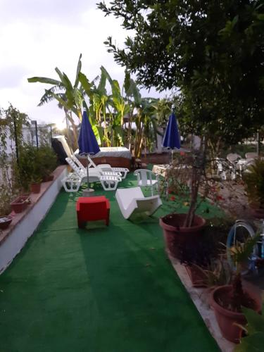 Graceland rooms and suitesにある庭
