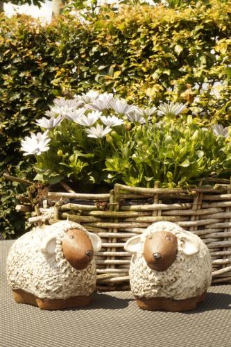 two stuffed sheep sitting next to a basket of flowers at Kampenhof in Maaseik