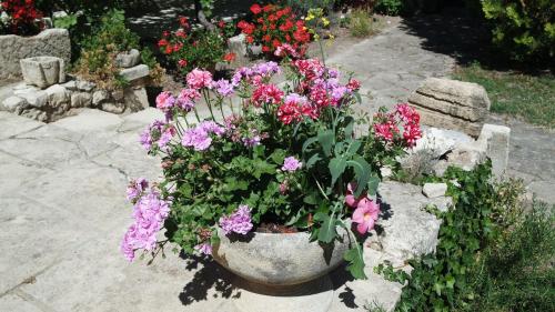 a flower pot filled with pink and purple flowers at Mas Grimaud - Gîte- Studio et chambres d'hôtes familiales in Eygalières