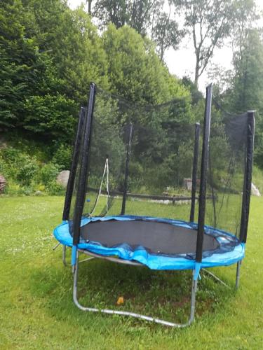a trampoline in the grass in a yard at Willa Katarzynka in Wisła