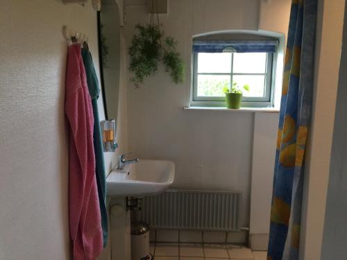 uma casa de banho com um lavatório e uma janela em Dalsgaard em Vojens