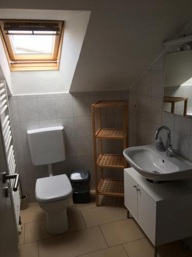巴特拉珀瑙的住宿－Riedwiesen，一间带卫生间和水槽的浴室