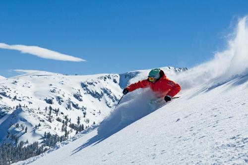 a person is skiing down a snow covered mountain at Carson Valley Motor Lodge and Suites in Minden
