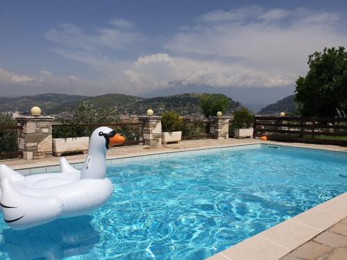 a pool with a inflatable swan in the water at Vila Palma in Berat