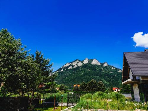 a mountain in the distance with a house and trees at Willa Gazda in Sromowce Niżne