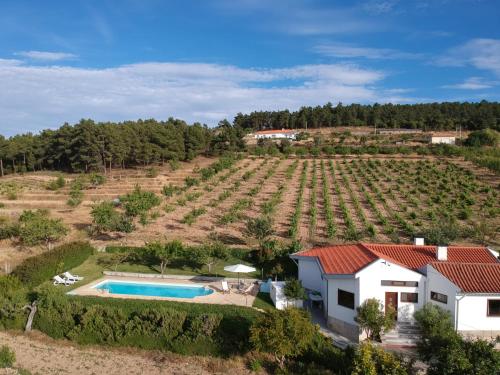 an aerial view of a house and a vineyard at Quinta do Retiro in Felgar