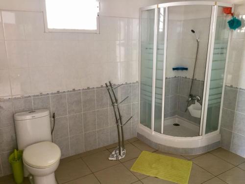 a bathroom with a toilet and a shower at Villa Josiane in Sainte-Anne