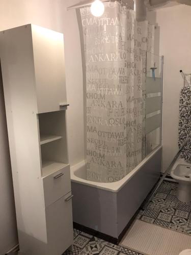 une salle de bain avec douche et toilettes dans l'établissement studio saint lary au pla d'adet, à Saint-Lary-Soulan