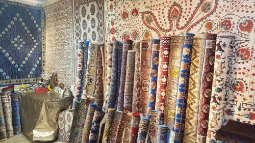 Una stanza con un mucchio di pavoni di OPTIMIST a Samarkand