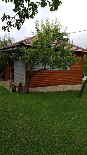 una casa con un árbol delante de ella en Guest House Adrijana, en Selište Drežničko