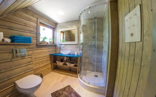 łazienka z prysznicem i toaletą w obiekcie Domek drewniany Wiakówka w Kazimierzu Dolnym