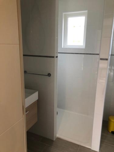 a bathroom with a shower and a window at La petite maison des gîtes de Joséphine in Saint-Dyé-sur-Loire