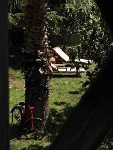Κήπος έξω από το Apartments Karpetis a green paradise