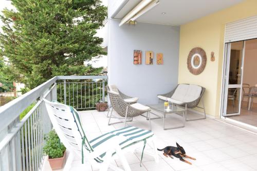 a dog laying on a patio with chairs and a table at B&B LA CASA DEL CASALE in Roseto degli Abruzzi