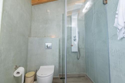 a bathroom with a shower with a toilet and a glass door at Amelia & Nicholas Stone Houses in Doukádes
