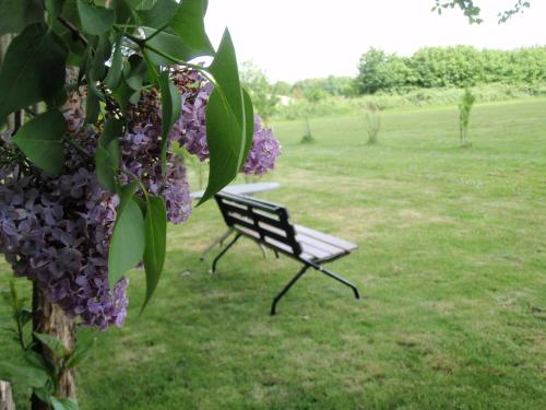 Un jardín fuera de Chatenet