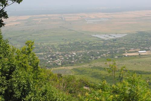 Příroda nedaleko apartmánu