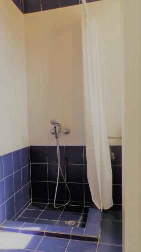 a bathroom with a shower with a shower curtain at Vitali Beach Houses in Andros