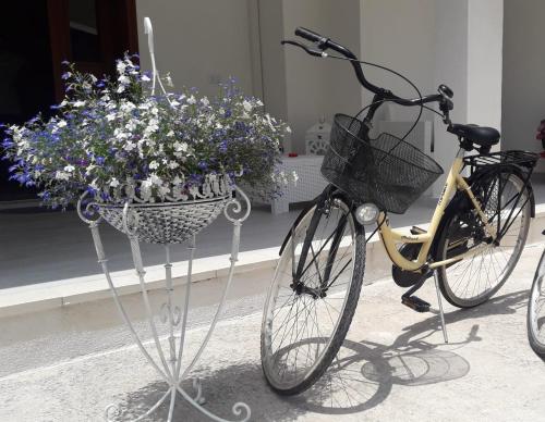 Ciclismo en B & B 2 eRRe o alrededores