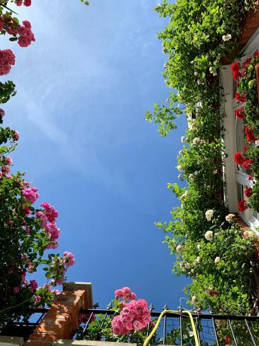 Georgiana's Guesthouse photo 40