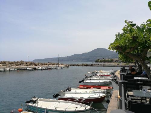 a group of boats docked in a body of water at Angel's Place by the Sea in Diakopto