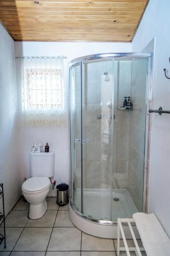 a bathroom with a shower and a toilet at Kalahari Camelthorn Guesthouse and Camping in Askham