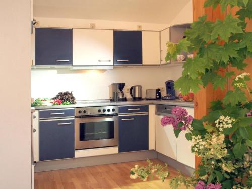 a kitchen with blue and white cabinets and a stove at Ferienwohnung am Dümmer See in Dümmer