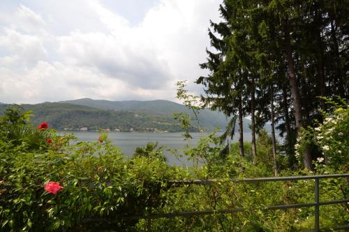 a view of a lake with mountains in the background at Villa Rina Deluxe and Cottage in Porto Ceresio